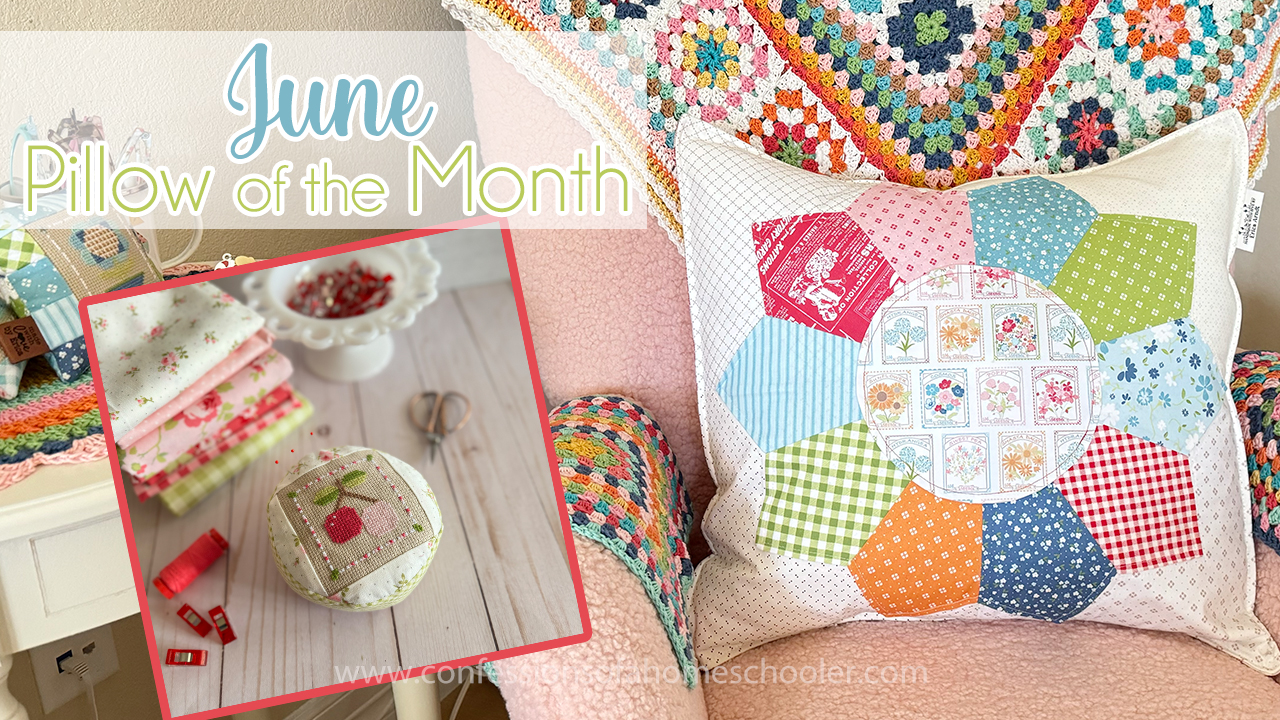 June Pillow of the Month + Stickers!