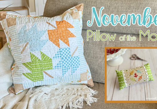 November Quilty and Stitchy Pillow of the Month